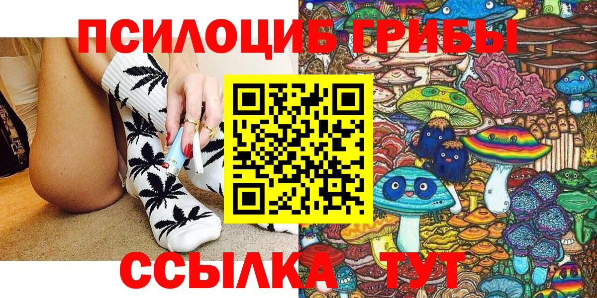 Псилоцибиновые грибы мицелий Курчалой