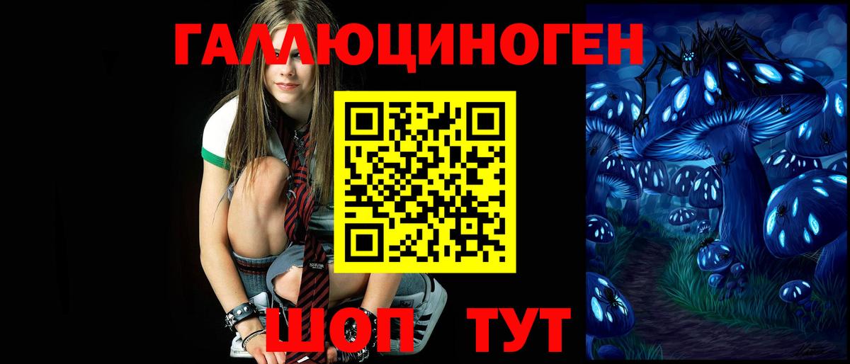 Галлюциногенные грибы Psilocybe  Галлюциногенные грибы прущие грибы  Вход с VPN  Курчалой 